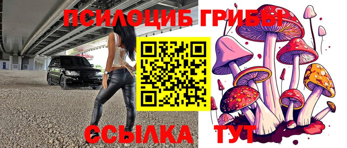 Галлюциногенные грибы мухоморы  Вход с VPN  Галлюциногенные грибы мицелий  Нижний Тагил 