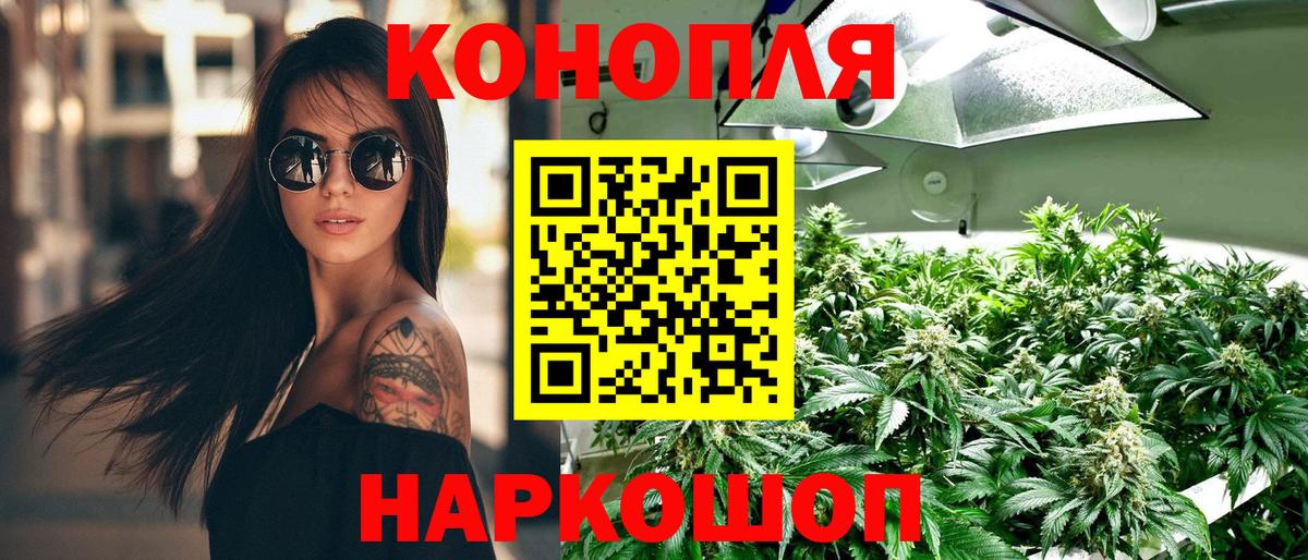 Бошки Шишки план Нижний Тагил